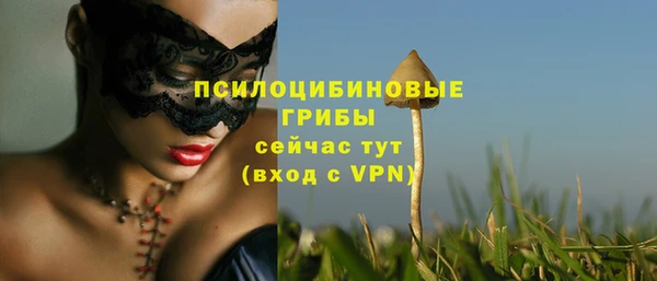 MESCALINE Козловка